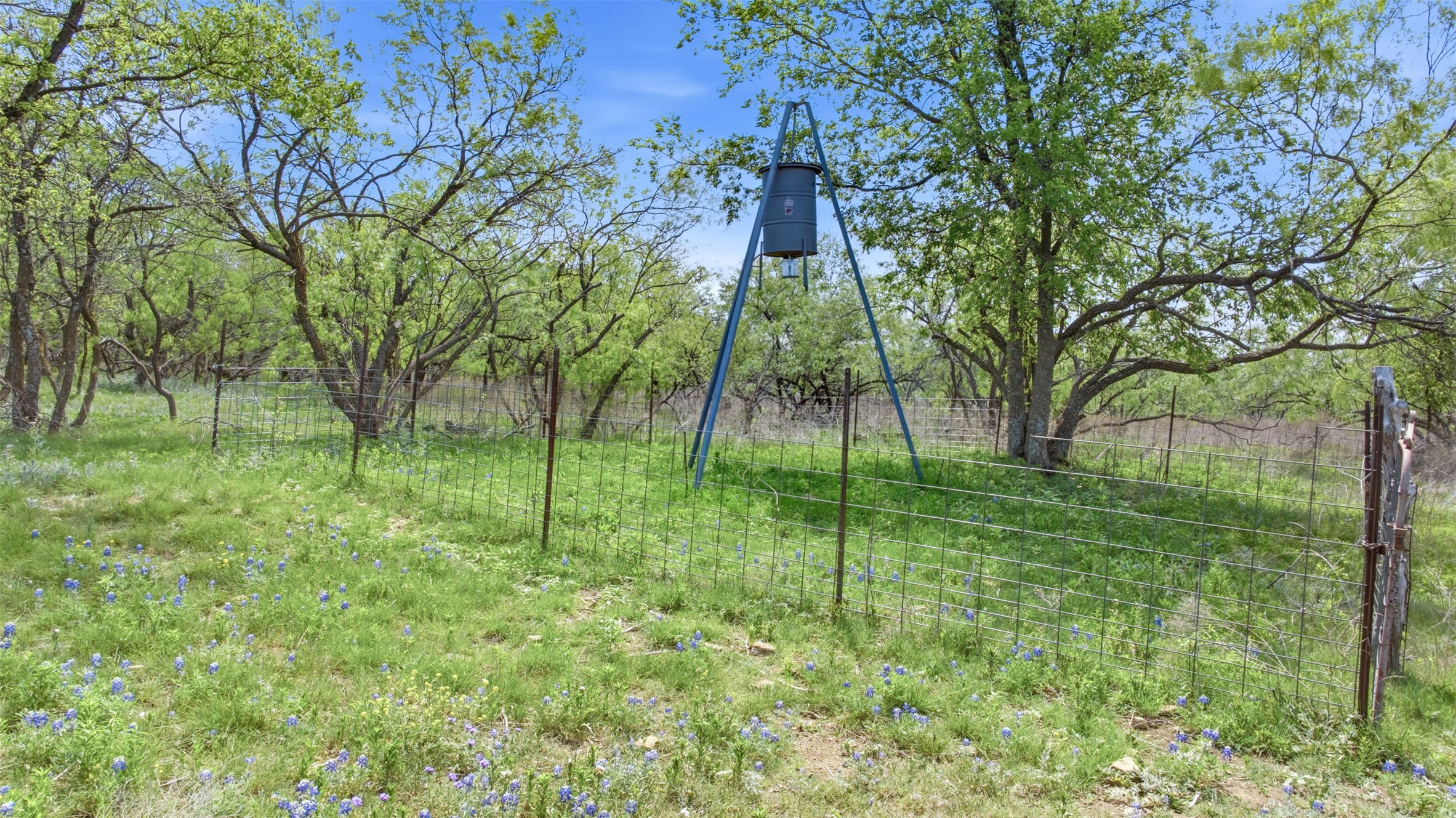 6947 Moody Road Moody, TX 76557 - Photo 20 of 24 Mature trees and open pasture land provide a serene natural setting for this rustic property.