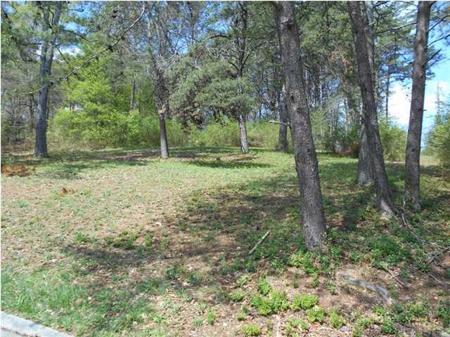 0 North Forest Road, Unit 58 Hixson, TN 37343 - Photo 1 of 13 Sloping lot