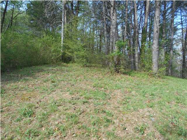 0 North Forest Road, Unit 58 Hixson, TN 37343 - Photo 8 of 13 Additional Photo