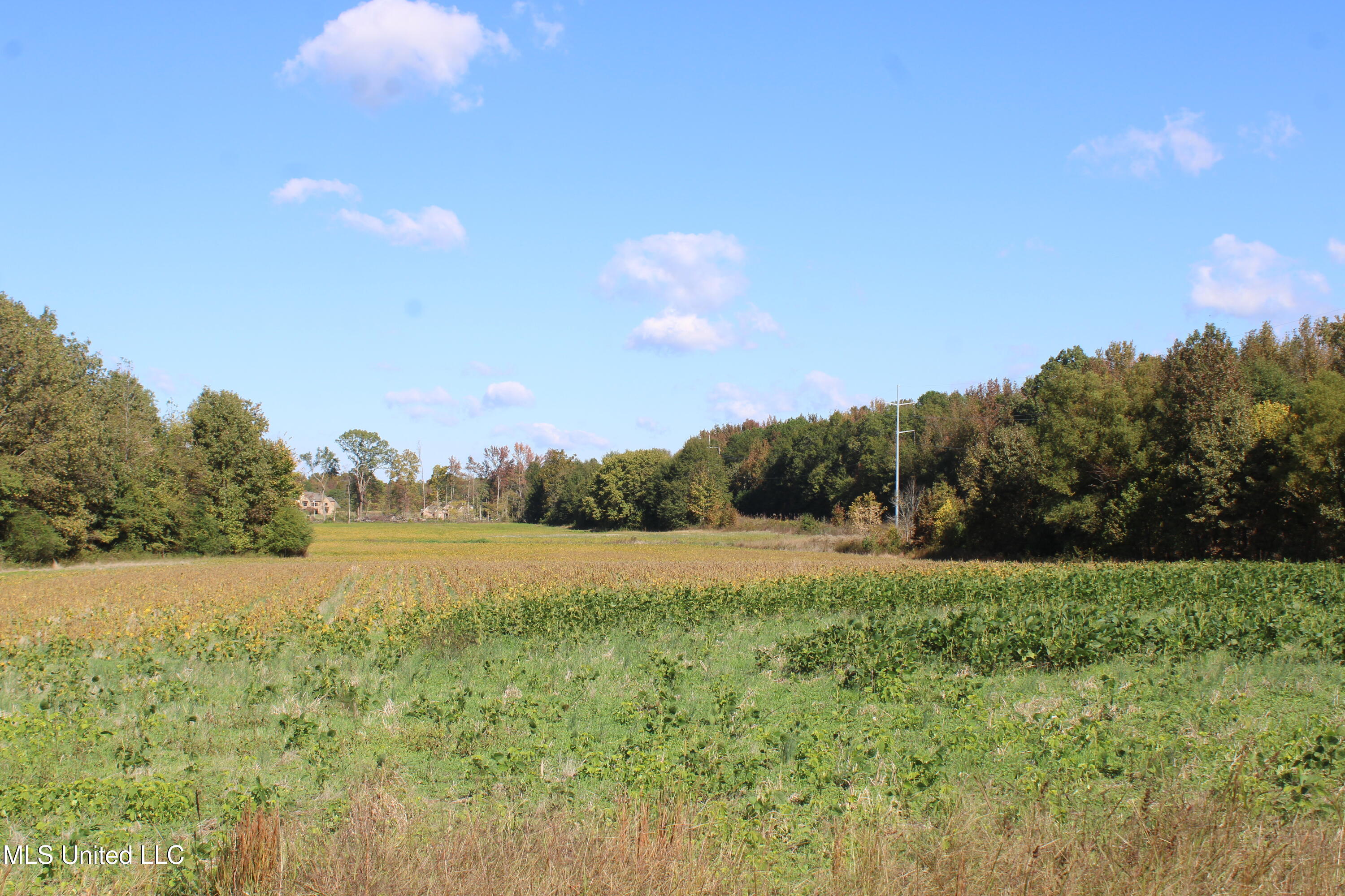 14901 Desoto Road Olive Branch, MS 38654 - Photo 21 of 27 IMG_6894