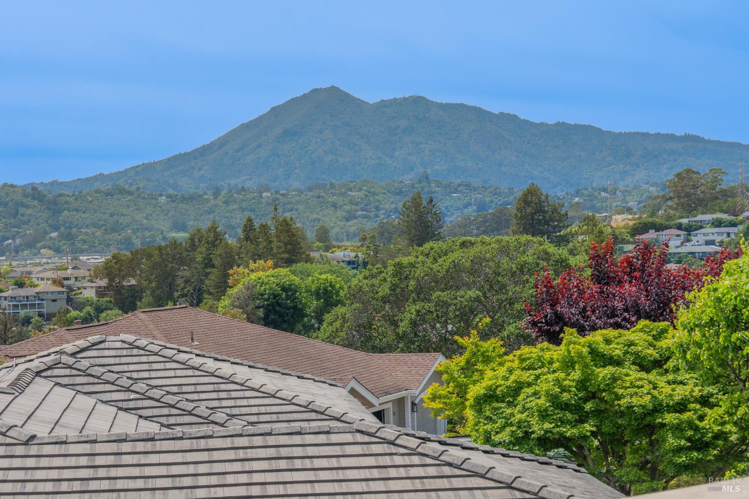 66 Inverness Drive San Rafael, CA 94901 - Photo 44 of 47 a view of a backyard with green space