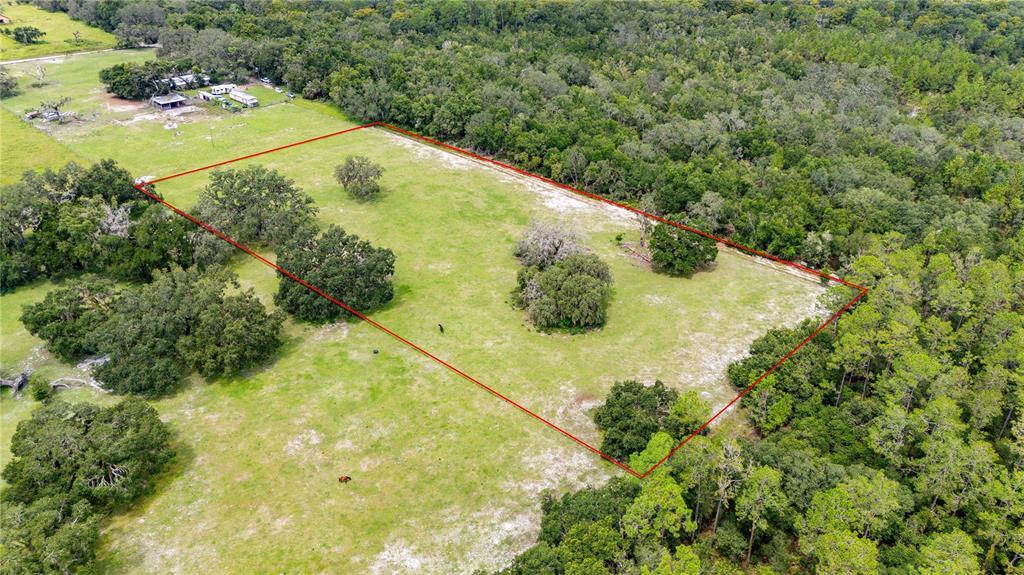 Pinkston Road Dade City, FL 33523 - Photo 7 of 15 Gallery Image 7