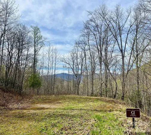 a backyard of a house with large trees