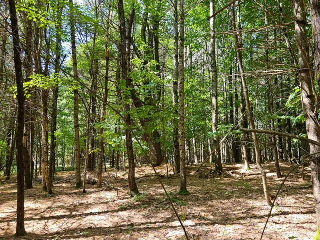 $69,900 | 11-31-c Stone Hill Road, Farmington, ME 04938