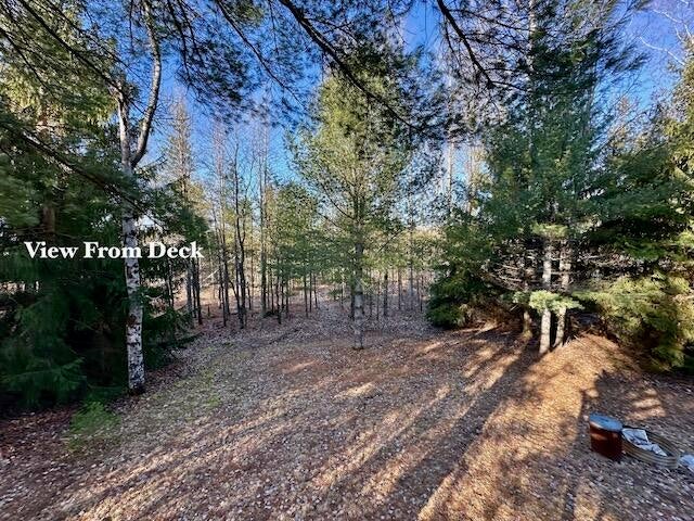 11182 Pleasant Ridge Road Mancelona, MI 49659 - Photo 18 of 21 Gallery Image 18