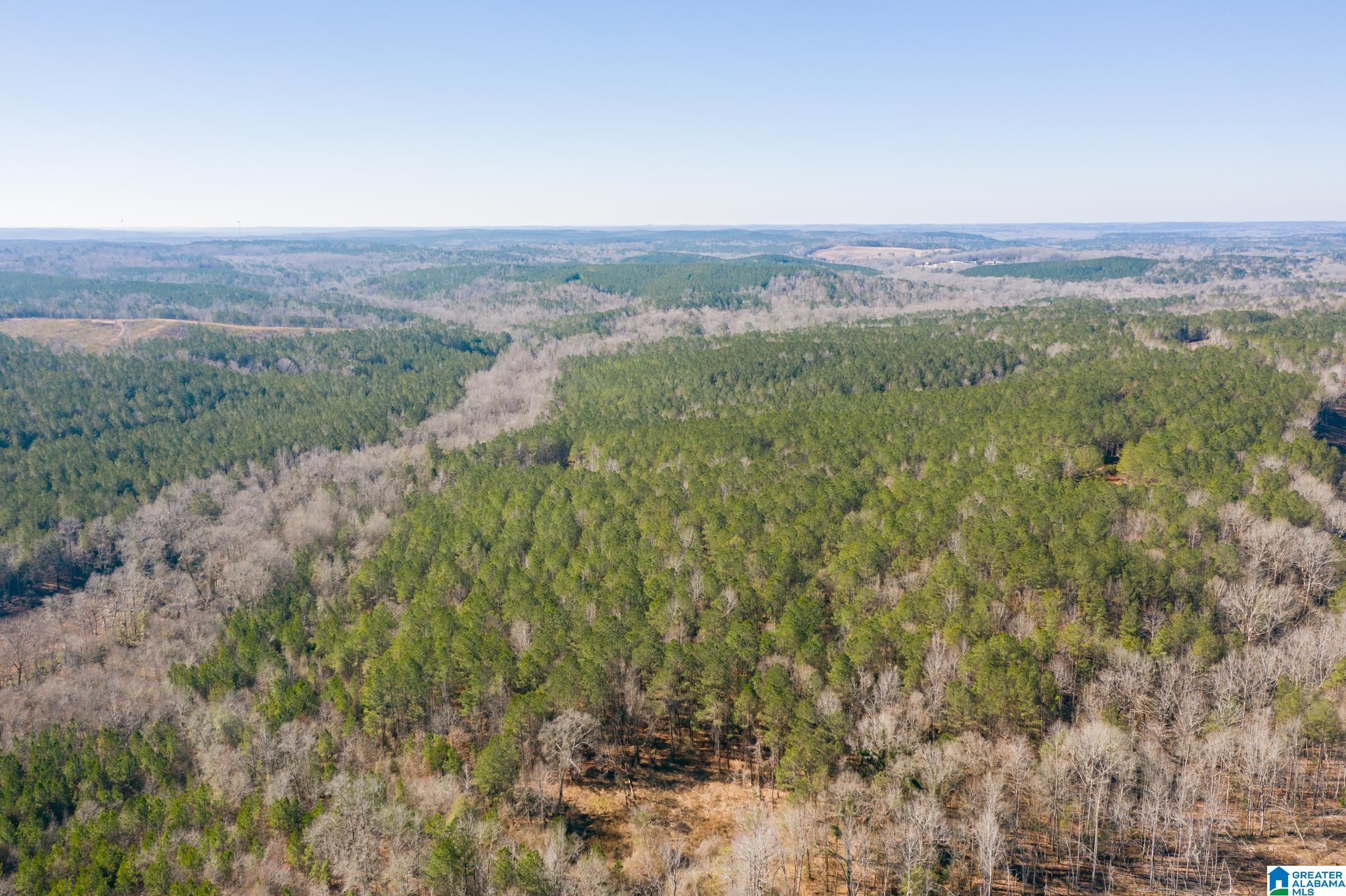 0 Harless Road Northport, AL 35475 - Photo 7 of 34