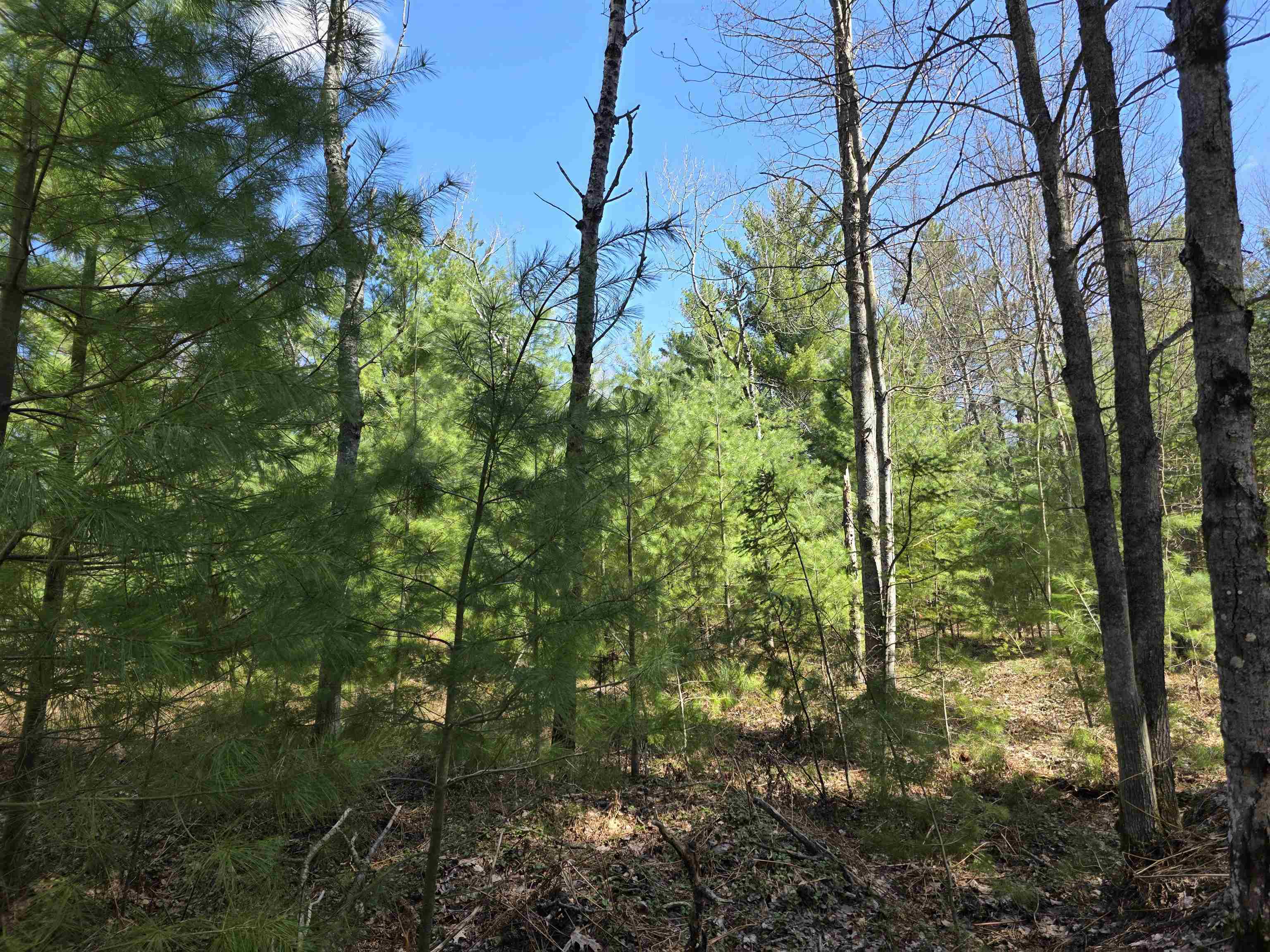 7299 North Truesdale Road Manton, MI 49663 - Photo 41 of 51