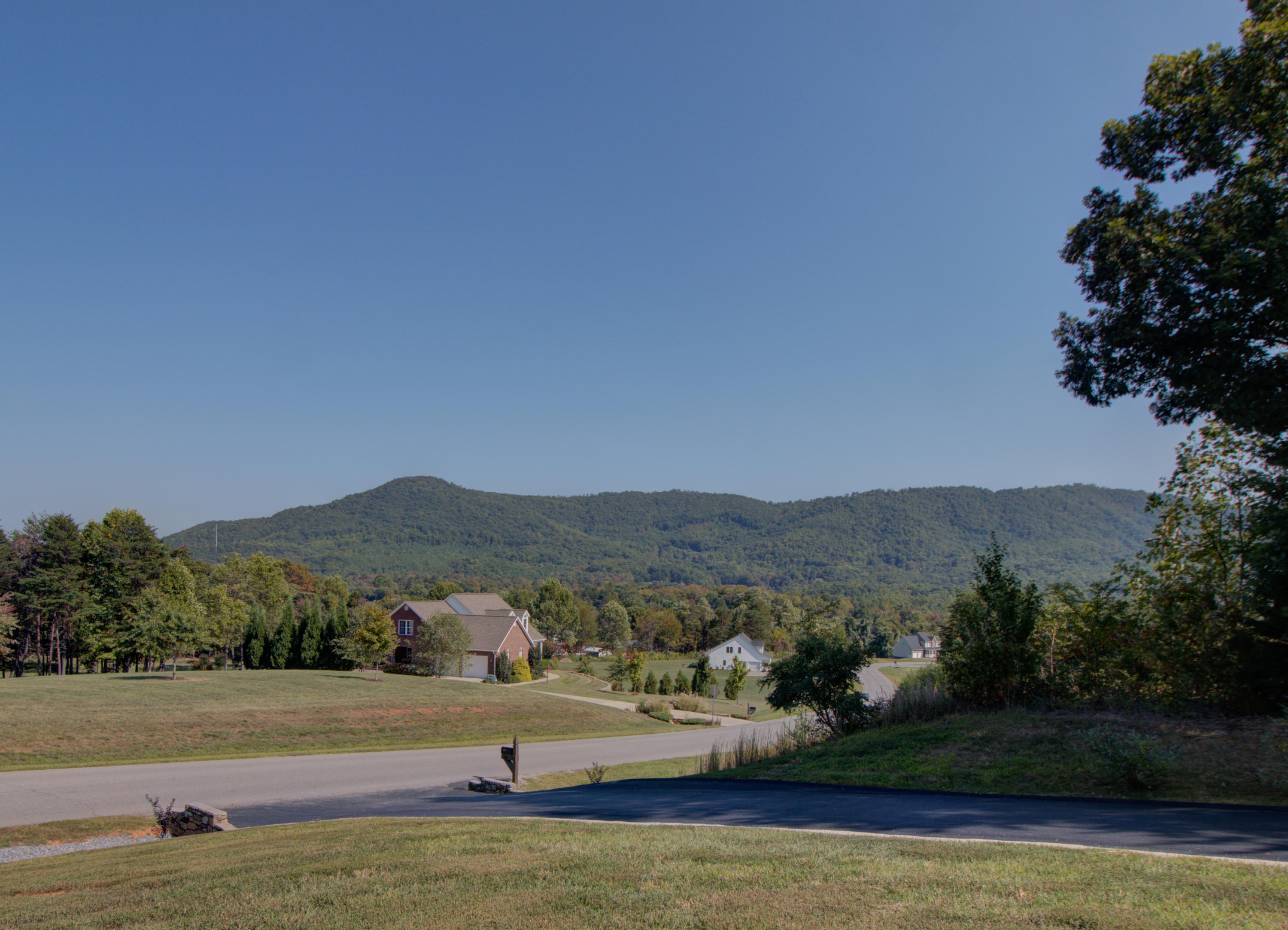 461 Thornblade Way Blue Ridge, VA 24064 - Photo 3 of 55 _MG_0474_5_6_7_8