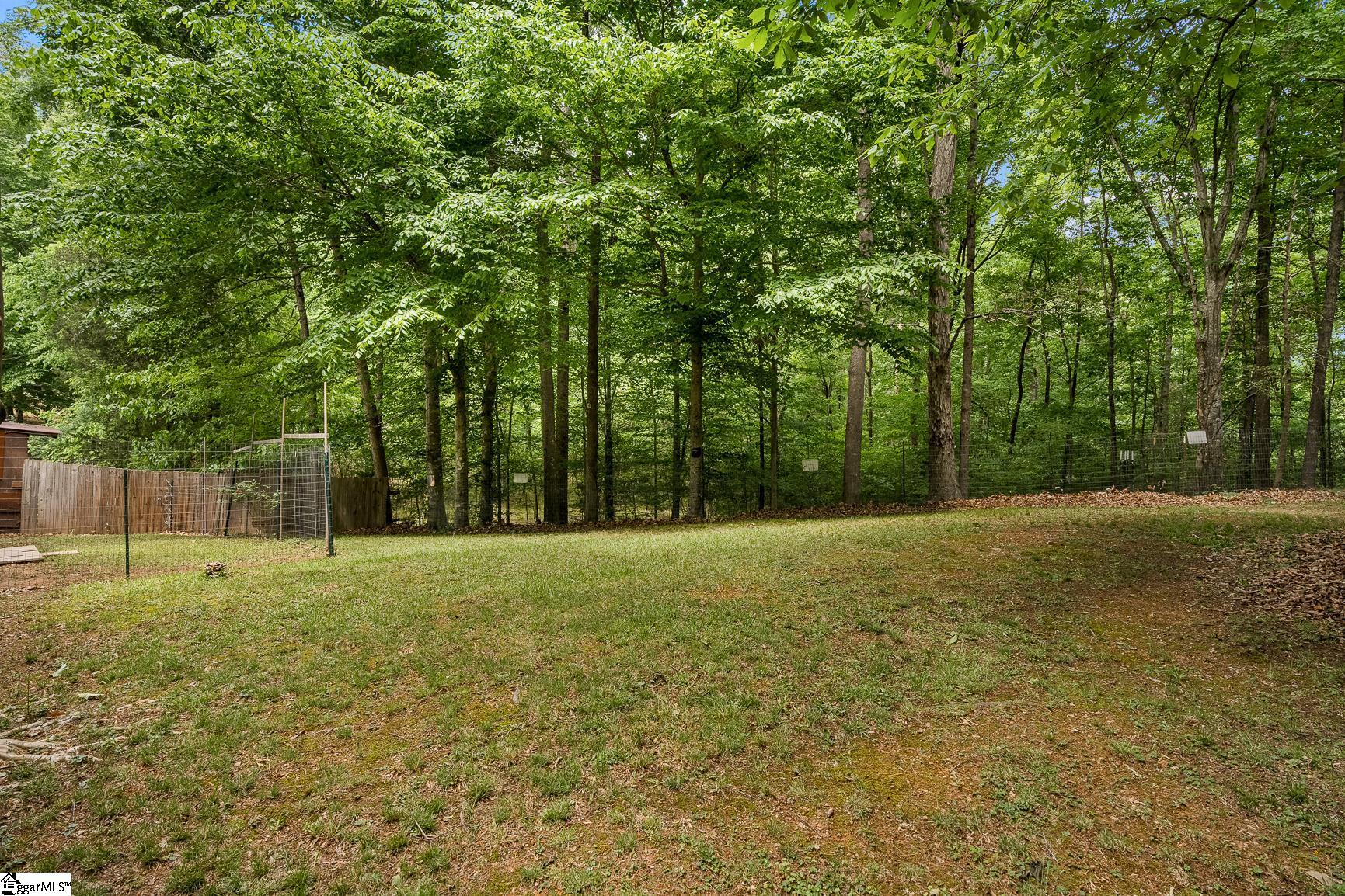 141 Lone Eagle Way Iva, SC 29655 - Photo 33 of 45
