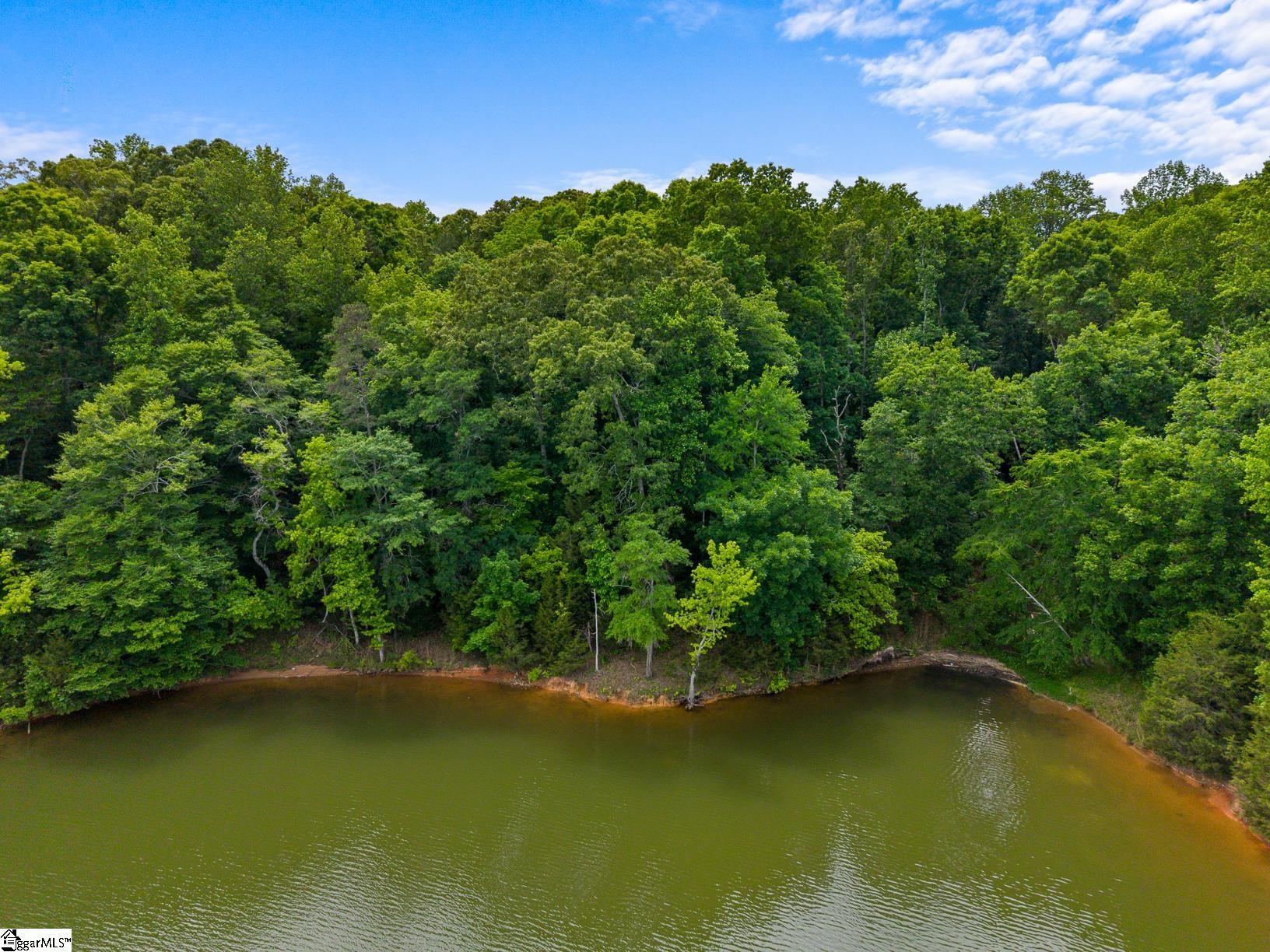 141 Lone Eagle Way Iva, SC 29655 - Photo 6 of 45