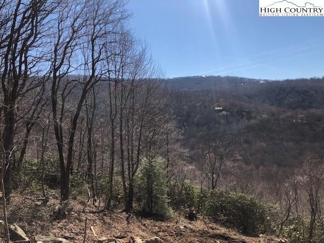 427 Pinnacle Ridge Road Beech Mountain, NC 28604 - Photo 1 of 5 a view of a yard with a tree