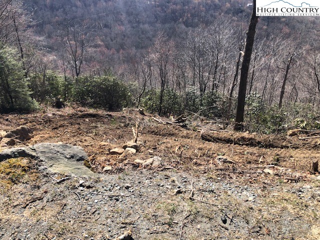 427 Pinnacle Ridge Road Beech Mountain, NC 28604 - Photo 3 of 5 a view of a dry yard with trees