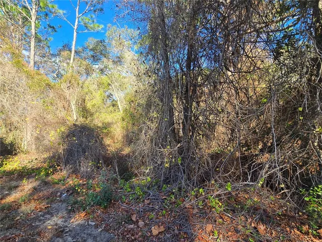 $19,500 | 3257 East Kennedy Street, Inverness, FL 34453