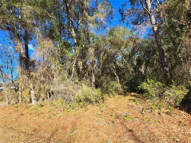 $19,500 | 3257 East Kennedy Street, Inverness, FL 34453