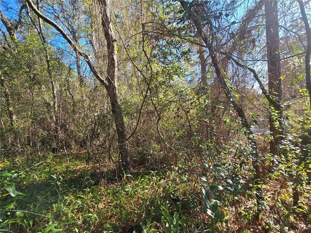 $19,500 | 3257 East Kennedy Street, Inverness, FL 34453