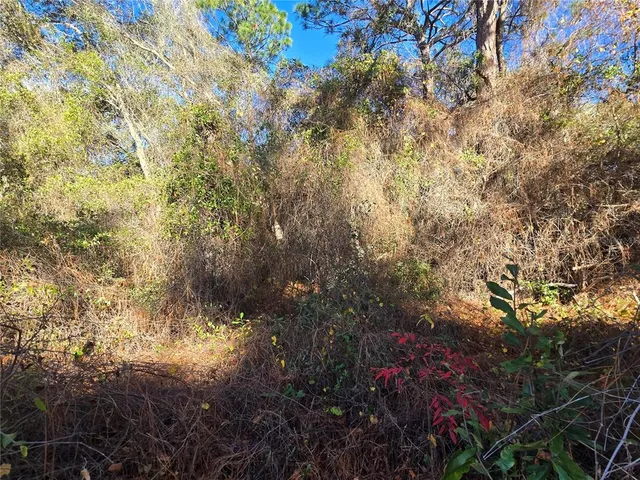 $19,500 | 3257 East Kennedy Street, Inverness, FL 34453