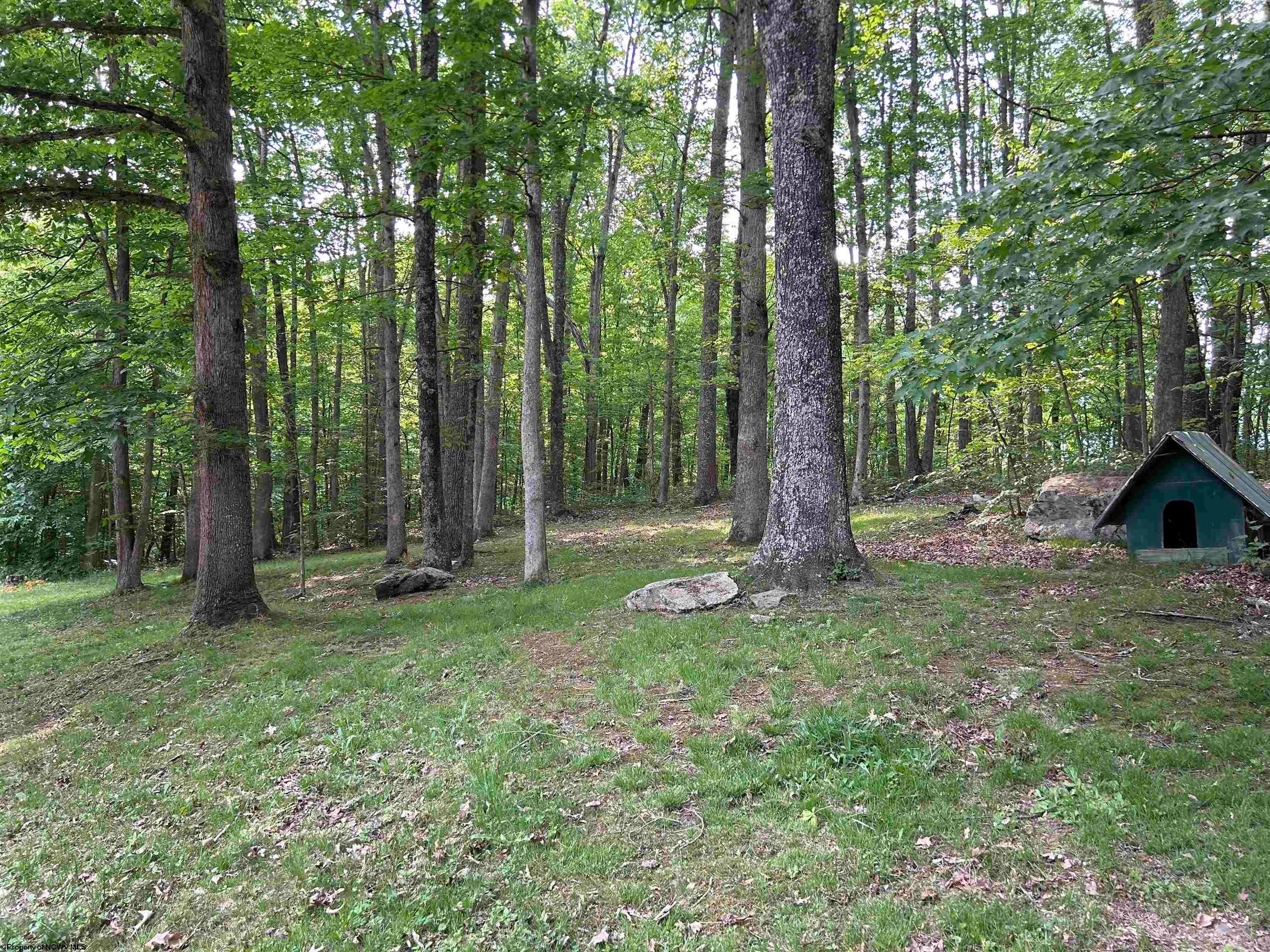 2218 Talbott Road Belington, WV 26250 - Photo 23 of 23 Gallery Image 23