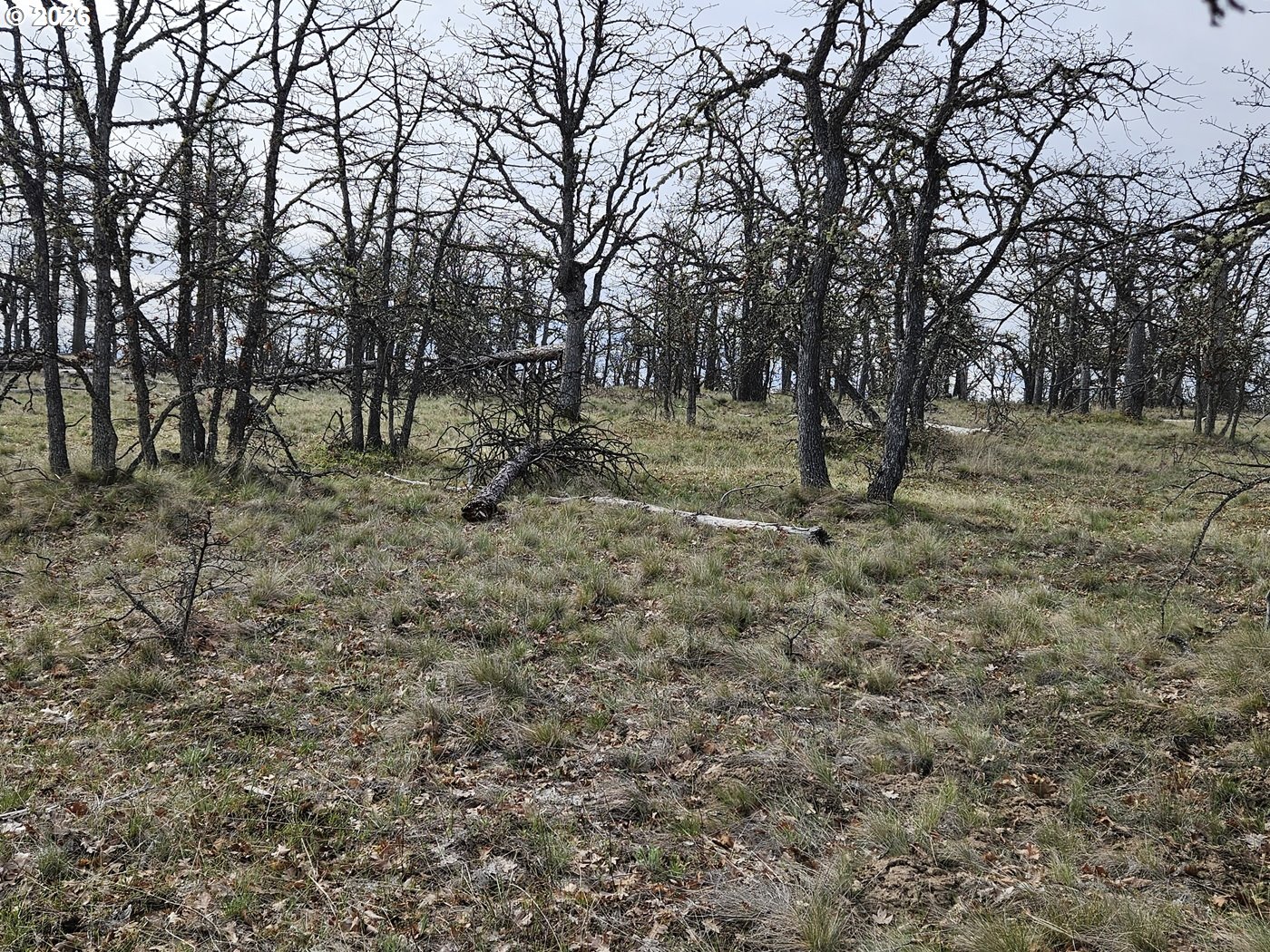 0 Ridgetop Road North, Unit 107 Dufur, OR 97021 - Photo 11 of 19