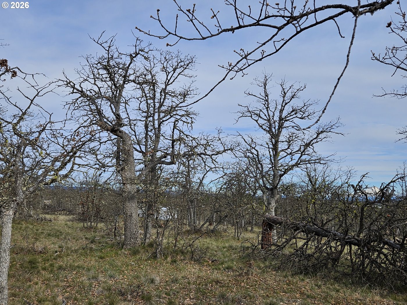 0 Ridgetop Road North, Unit 107 Dufur, OR 97021 - Photo 13 of 19