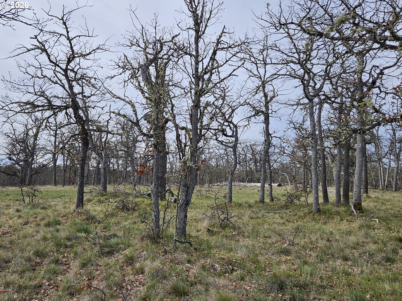 0 Ridgetop Road North, Unit 107 Dufur, OR 97021 - Photo 14 of 19