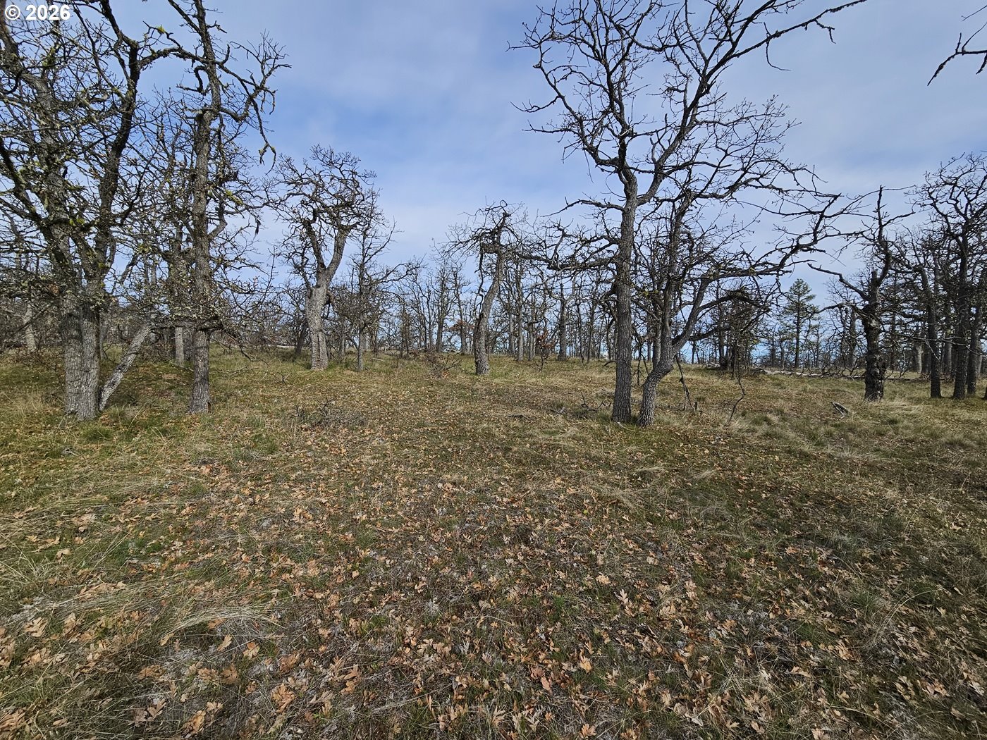 0 Ridgetop Road North, Unit 107 Dufur, OR 97021 - Photo 15 of 19