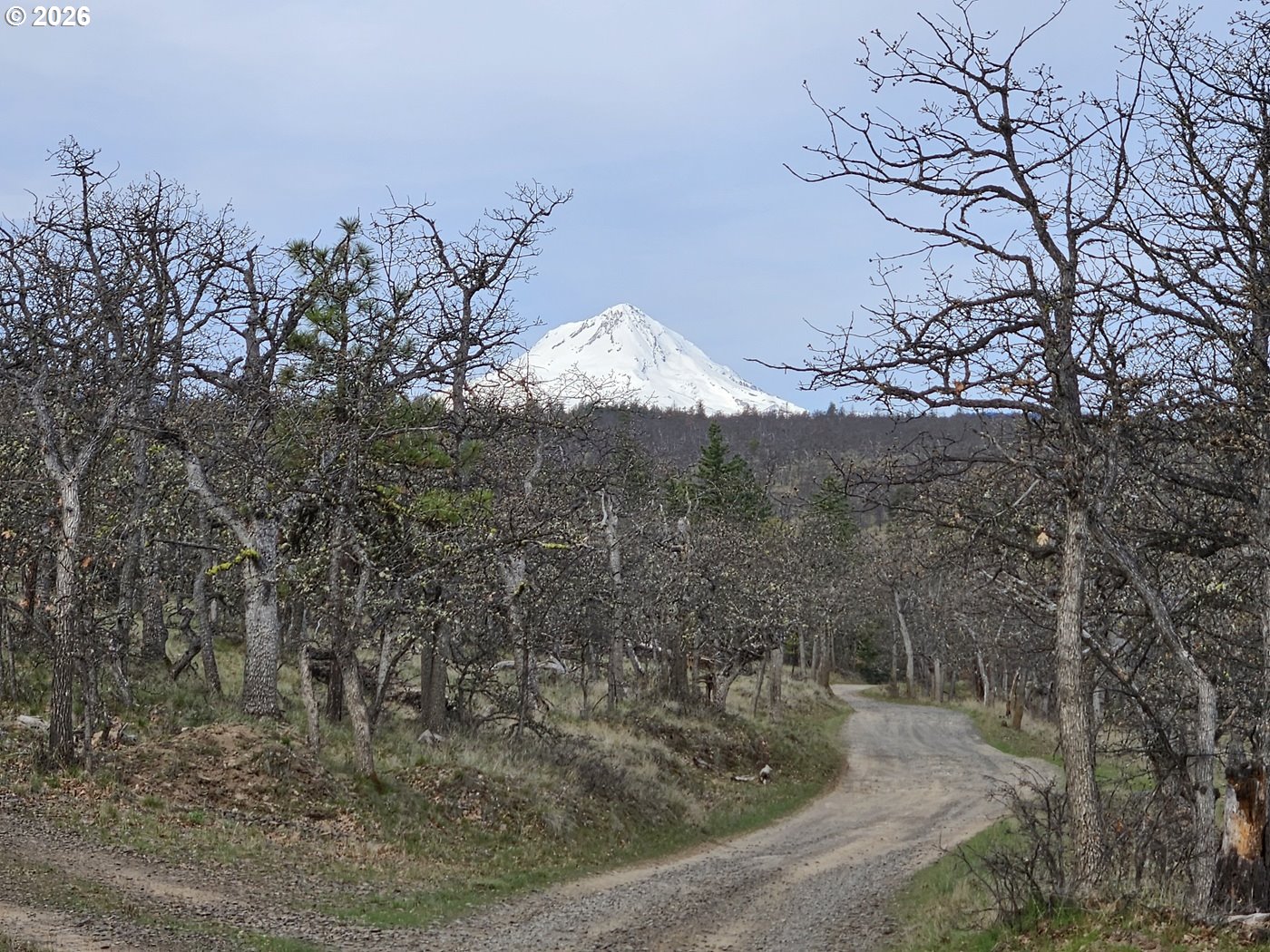 0 Ridgetop Road North, Unit 107 Dufur, OR 97021 - Photo 16 of 19