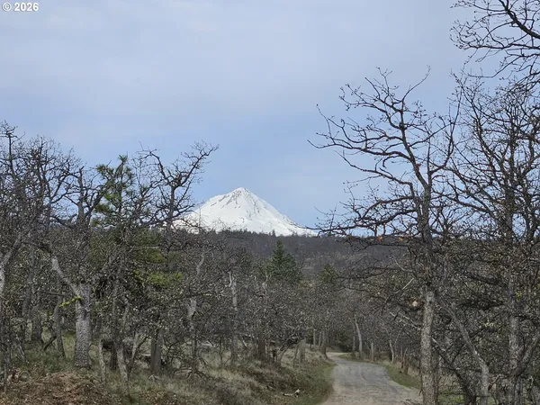 $67,000 | 0 Ridgetop Road North, Unit 107, Dufur, OR 97021