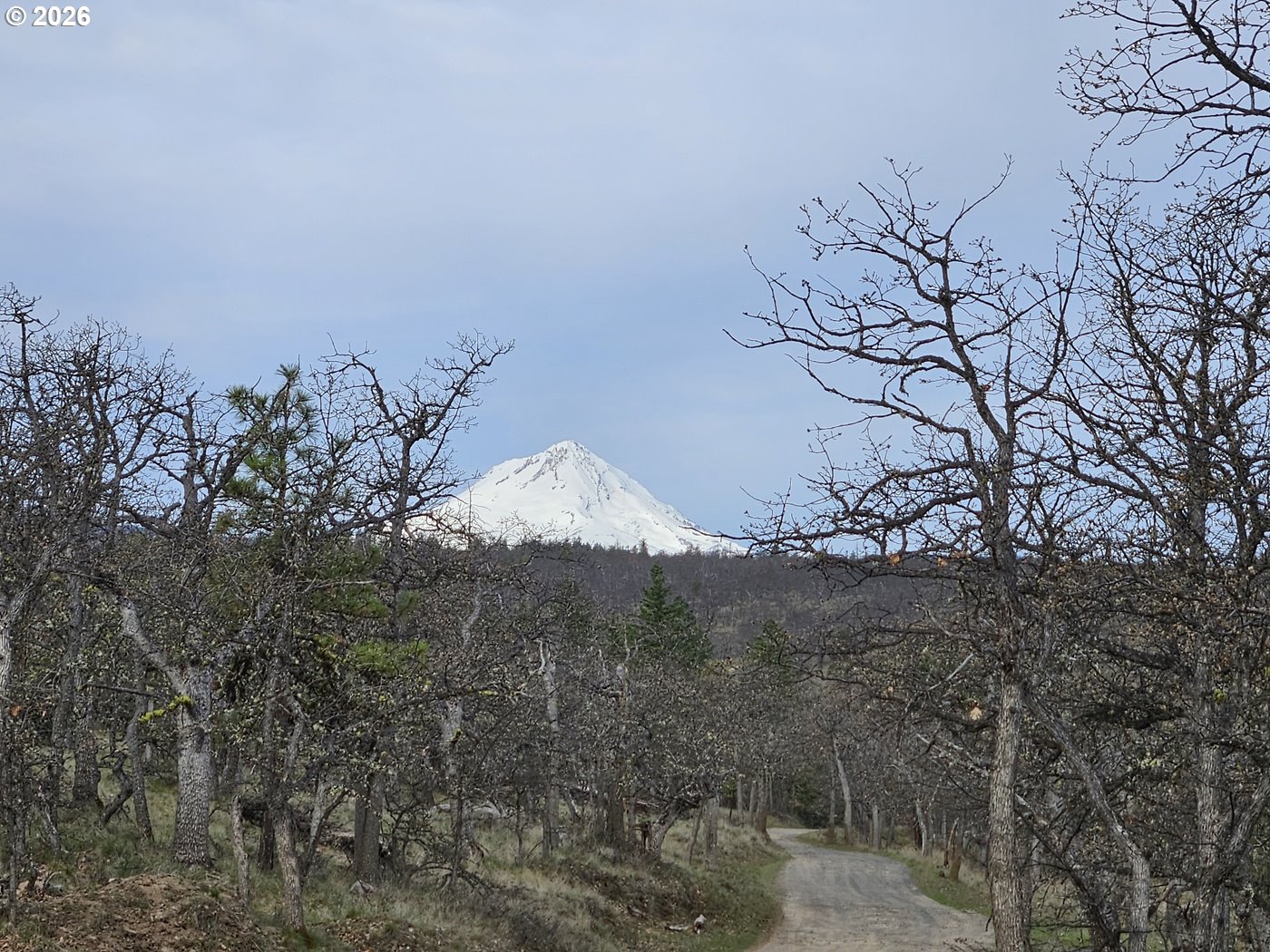 0 Ridgetop Road North, Unit 107 Dufur, OR 97021 - Photo 17 of 19