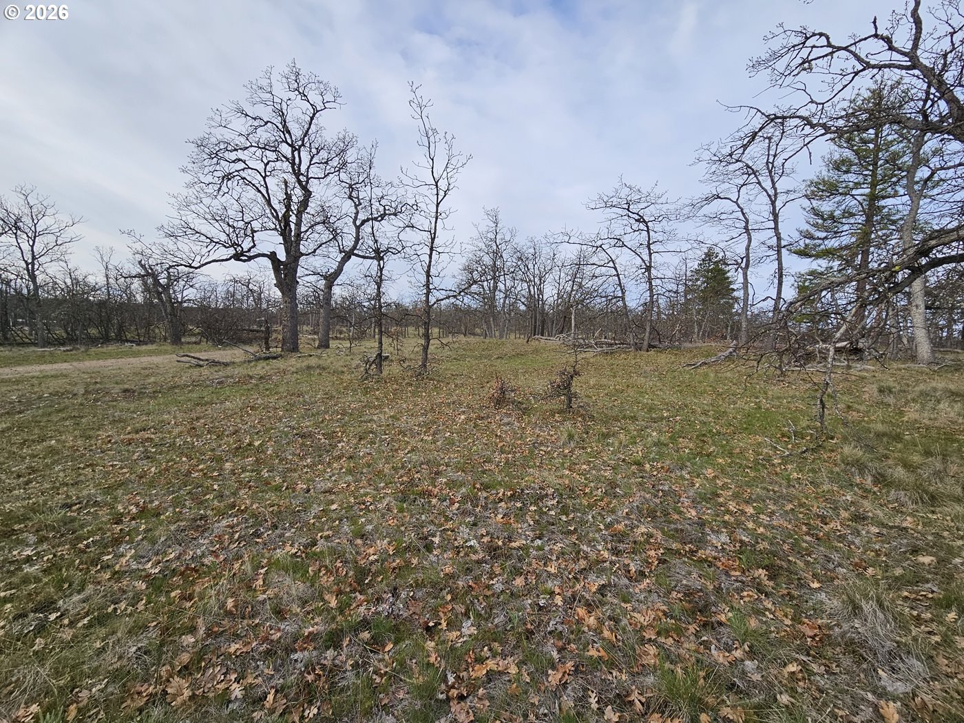 0 Ridgetop Road North, Unit 107 Dufur, OR 97021 - Photo 3 of 19