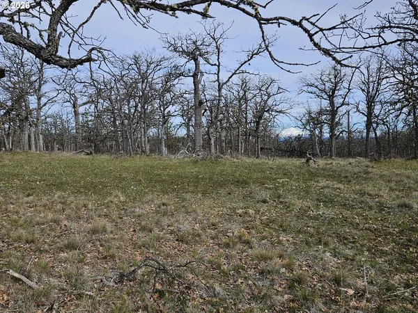 $67,000 | 0 Ridgetop Road North, Unit 107, Dufur, OR 97021