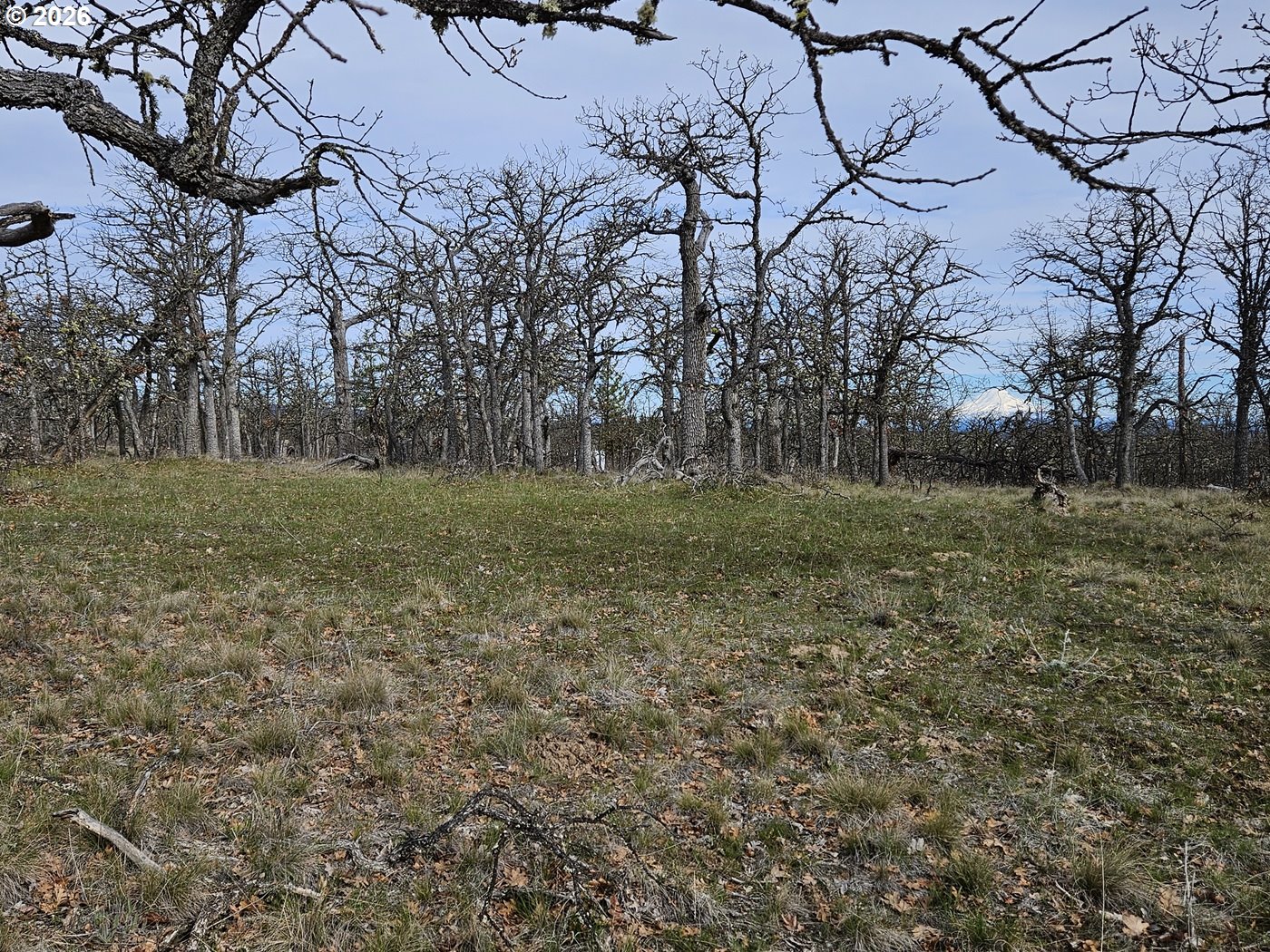 0 Ridgetop Road North, Unit 107 Dufur, OR 97021 - Photo 5 of 19