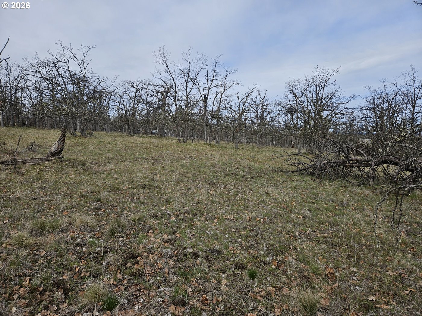 0 Ridgetop Road North, Unit 107 Dufur, OR 97021 - Photo 7 of 19