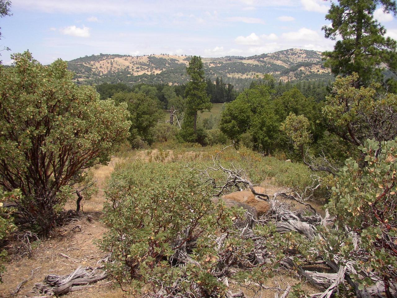 29540 Wengler Hill Road Shingletown, CA 96088 - Photo 3 of 5 Mountains