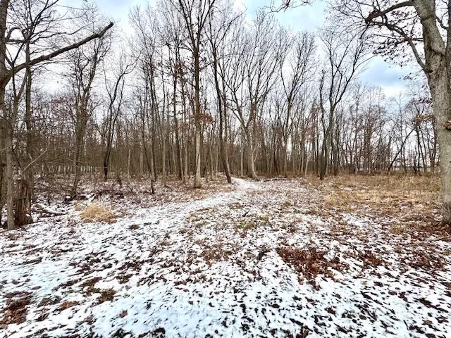 a backyard of a house with large trees