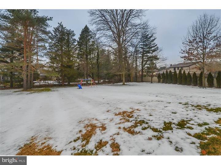 1111 Tannerie Run Road Ambler, PA 19002 - Photo 24 of 25 Back Yard
