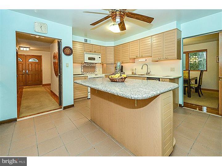 1111 Tannerie Run Road Ambler, PA 19002 - Photo 8 of 25 Kitchen