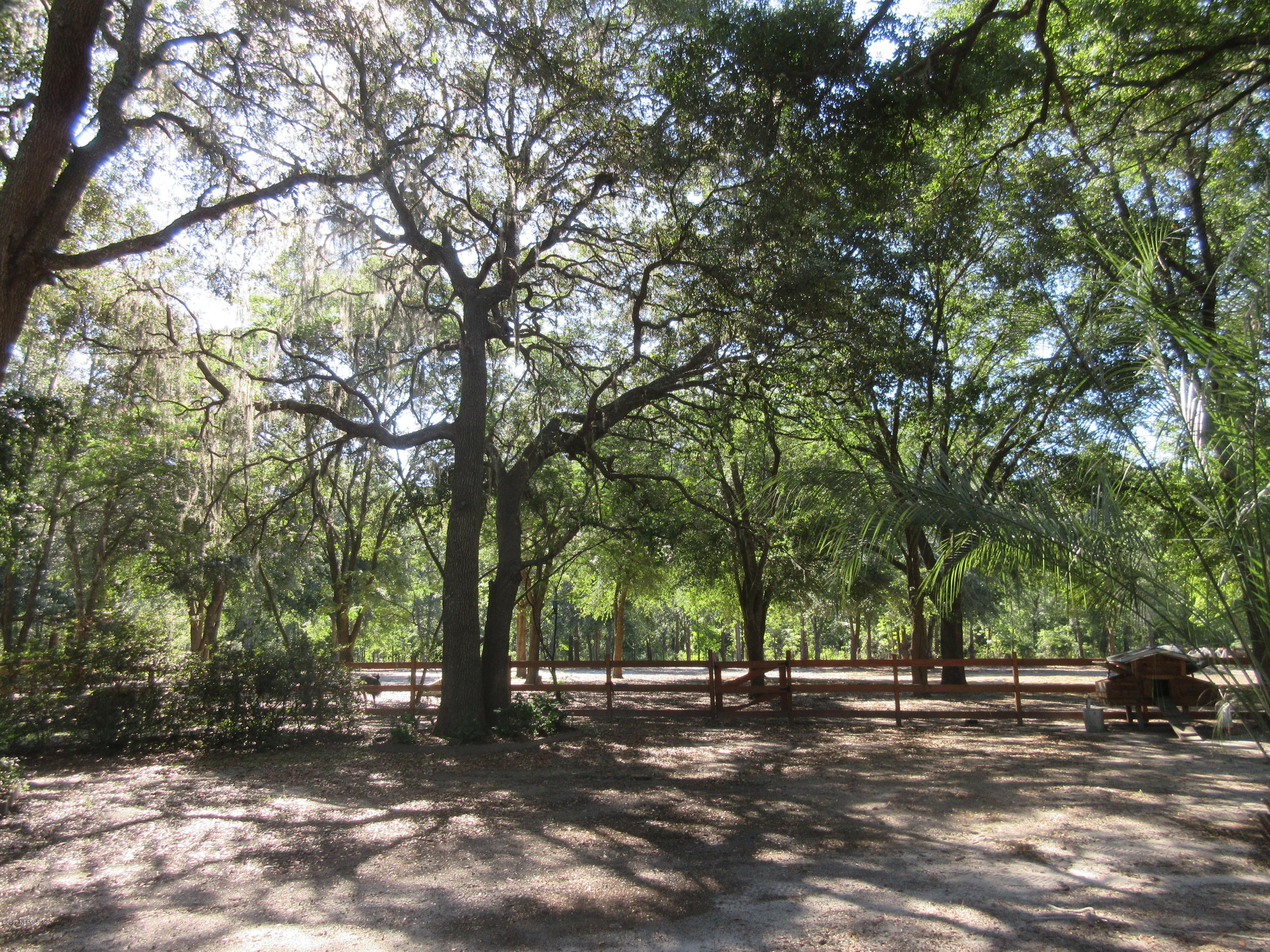 5824 Jones Creek Road Keystone Heights, FL 32656 - Photo 14 of 19 a view of a street with a trees