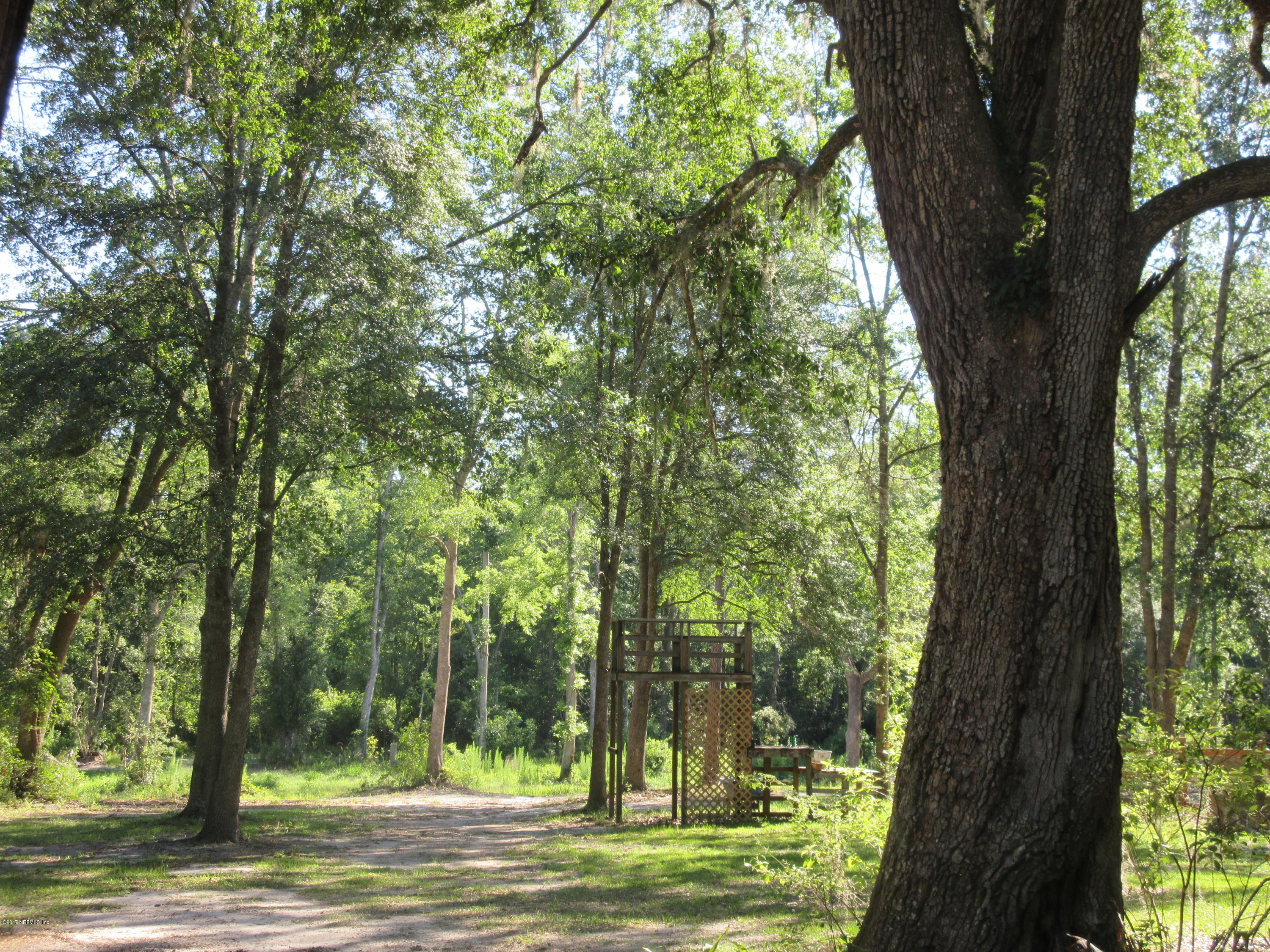 5824 Jones Creek Road Keystone Heights, FL 32656 - Photo 17 of 19 an outdoor space with lots of trees