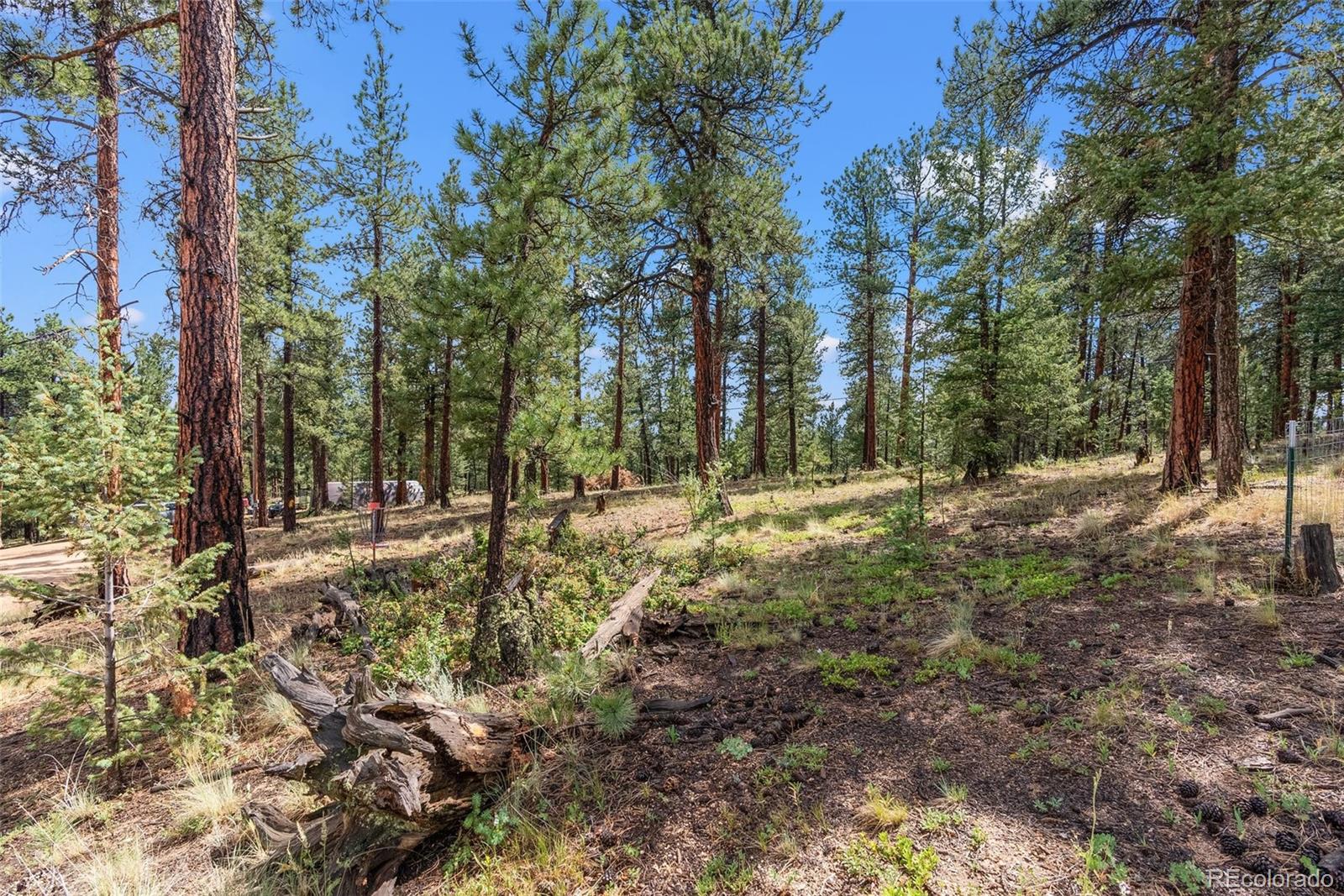 173 Rd C Pine, CO 80470 - Photo 42 of 49 Gallery Image 42