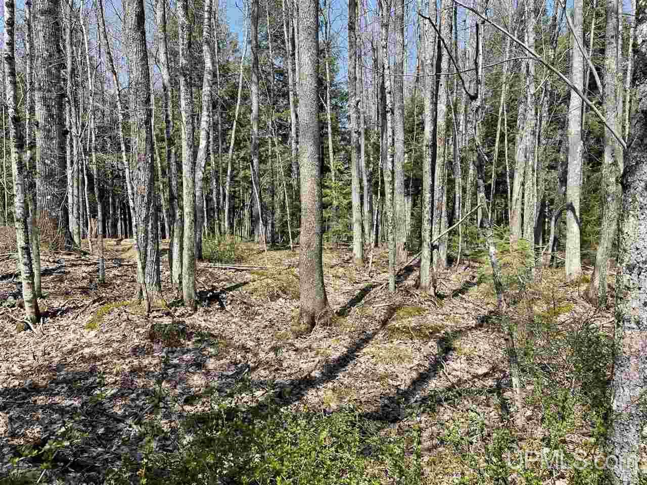 22503 Lower Skanee Road Skanee, MI 49962 - Photo 9 of 24 Gallery Image 9