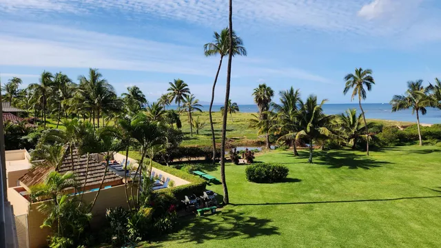 a view of potted plants