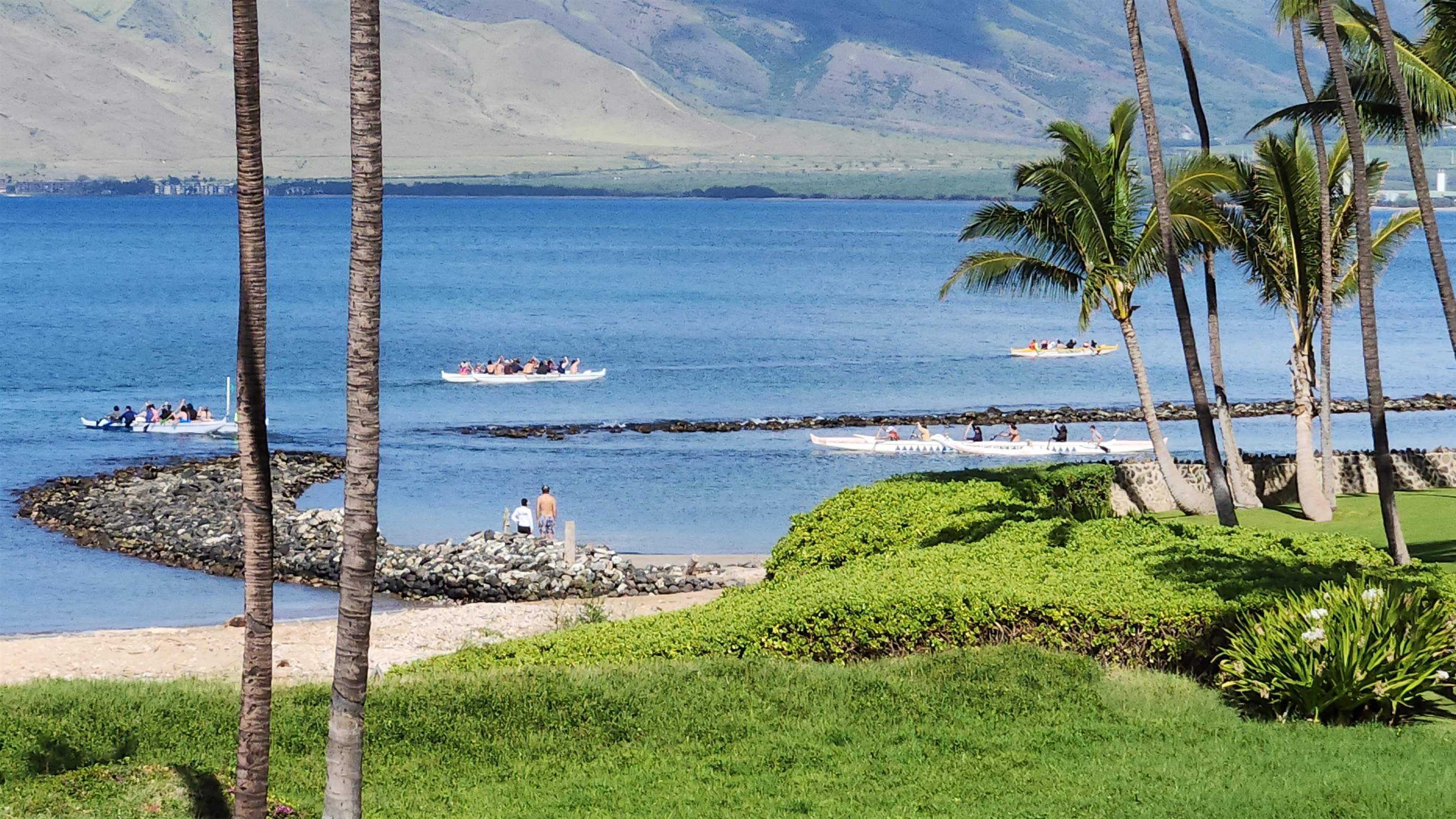 800 South Kihei Road, Unit 302 Kihei, HI 96753 - Photo 20 of 50 a garden with trees in front of it