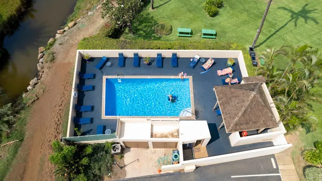 a view of a yard with plants and a large tree