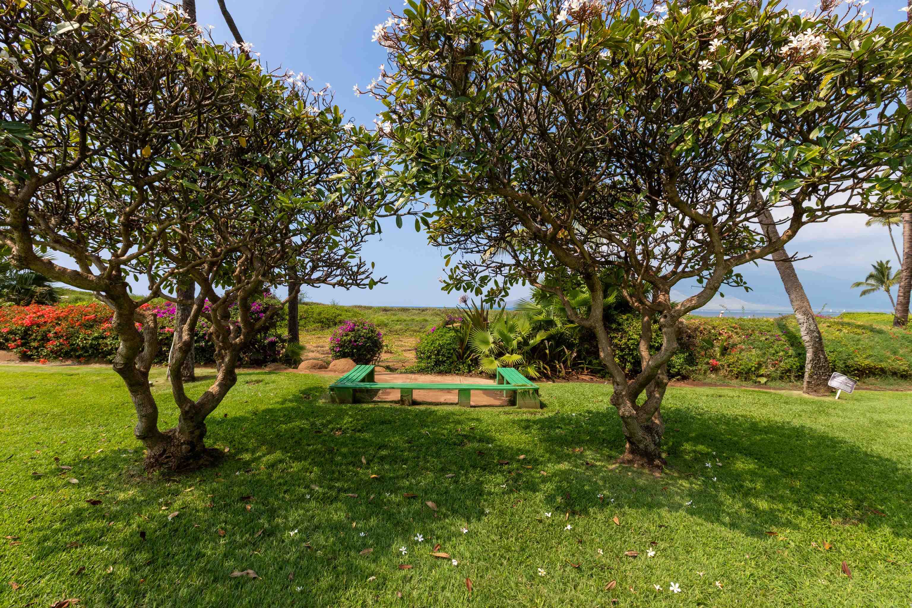 800 South Kihei Road, Unit 302 Kihei, HI 96753 - Photo 37 of 50 a view of a park with large trees