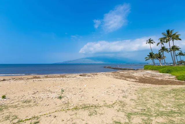 a view of a house with a yard and potted plants