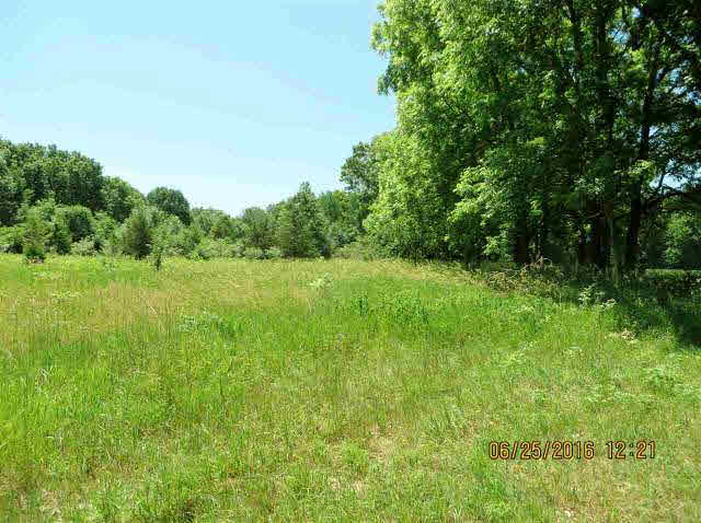 V/l Norvell Lake Road, Unit V/L NORVELL BEACH RD Brooklyn, MI 49230 - Photo 3 of 9