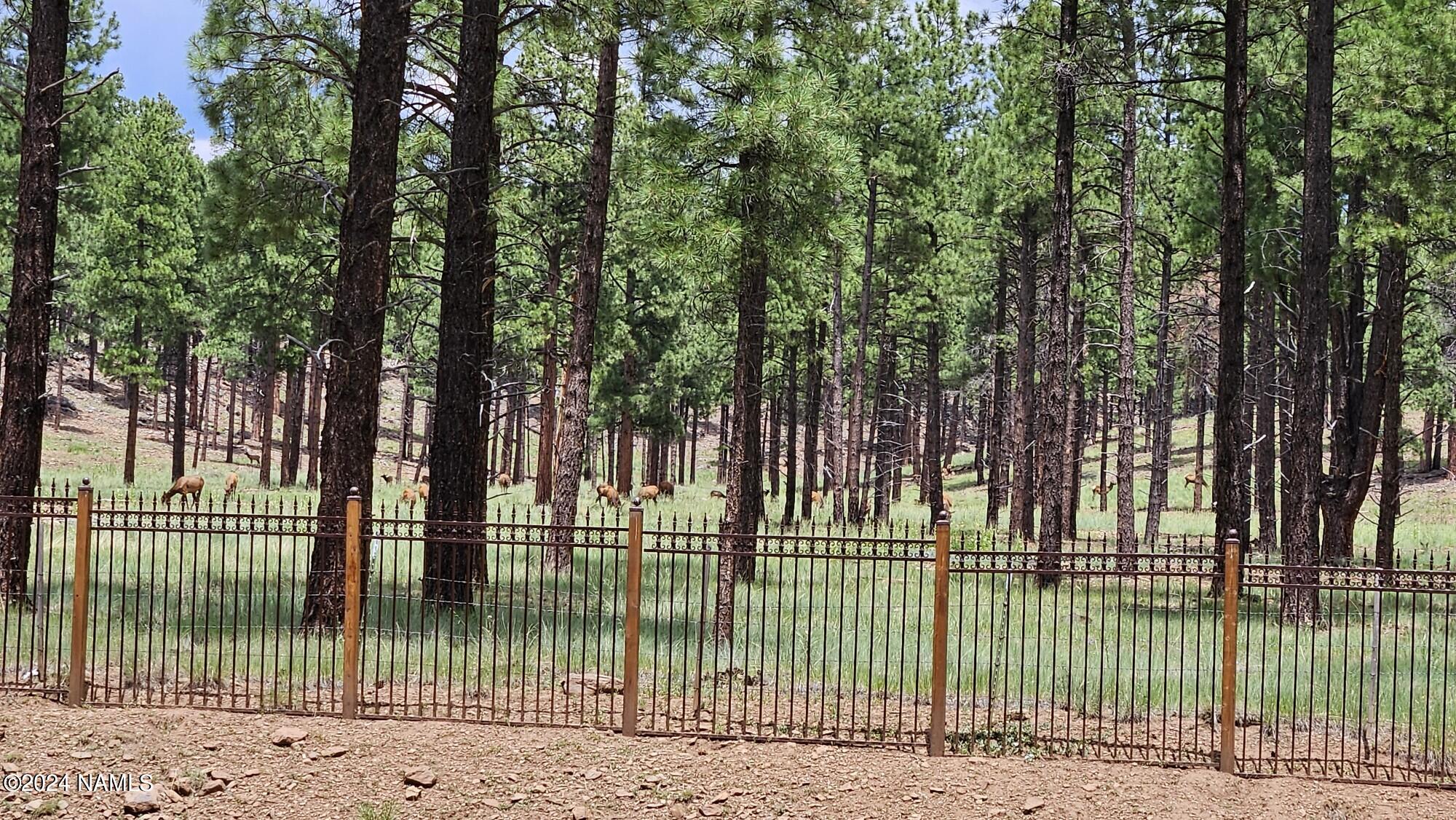5161 West Brackin Ranch Road Flagstaff, AZ 86001 - Photo 74 of 74 Backyard