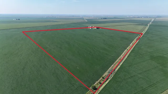 a close up of a park