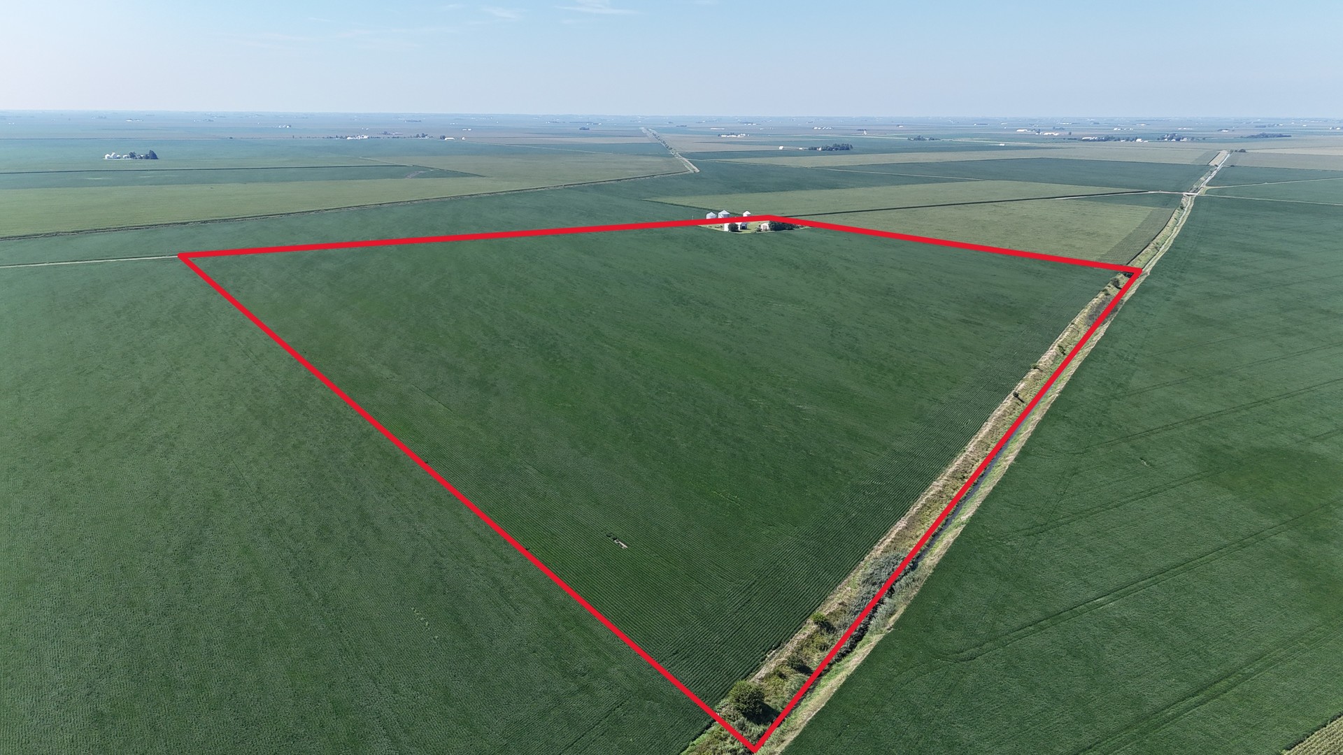 50 East 2800 North Road Clifton, IL 60927 - Photo 3 of 8 a close up of a park