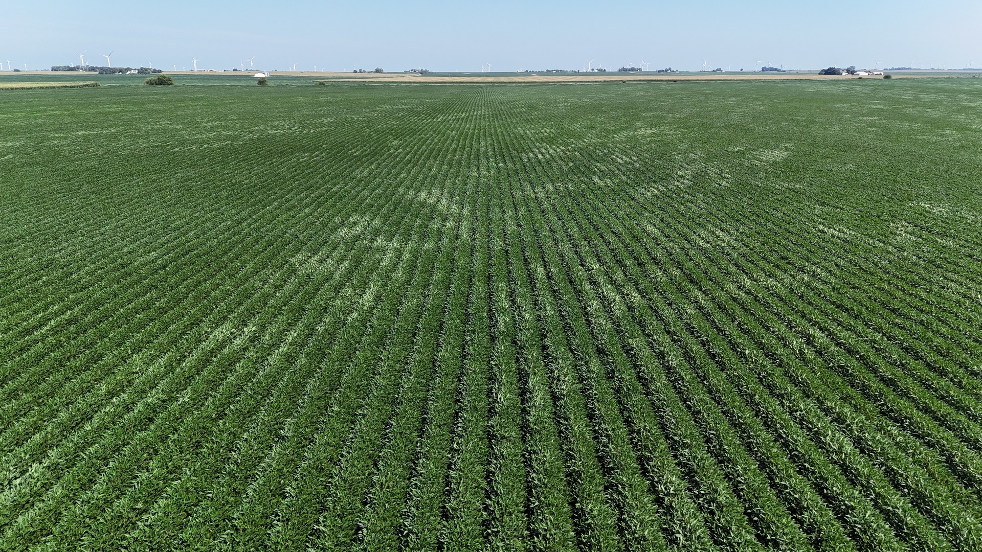 50 East 2800 North Road Clifton, IL 60927 - Photo 7 of 8 a view of outdoor space and a yard